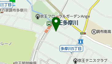 タウンドラッグ京王多摩川店の地図画像