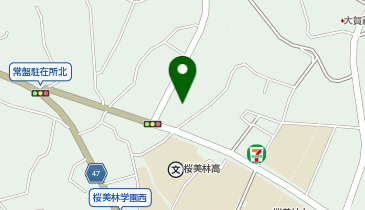 桜美林幼稚園 町田市 幼稚園 保育園 194 0213 の地図 アクセス 地点情報 Navitime