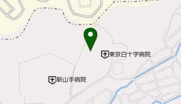 東京白十字訪問看護ステーションの地図画像