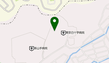 東京ばんなん白光園の地図画像