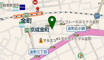 みなみ調剤薬局金町店の地図画像