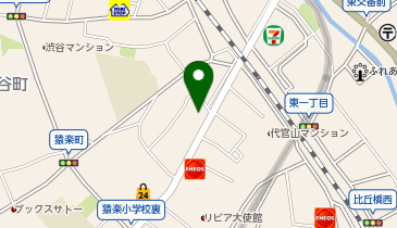 ハイビスカス(監査法人)の地図画像