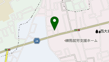 雄飛堂薬局西大泉店の地図画像