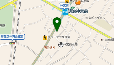 ザ・ノース・フェイススタンダードの地図画像