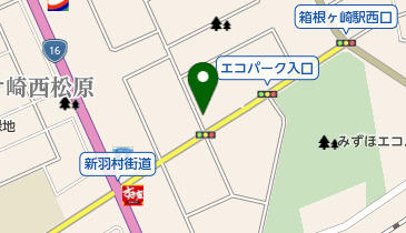 日本亭瑞穂店の地図画像