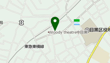 MIGRATORYの地図画像