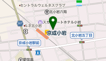 日本調剤小岩薬局の地図画像