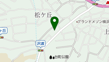 ニュースサービス日経横浜西口の地図画像