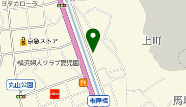 有限会社小島自動車商会の地図画像