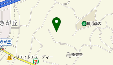 株式会社武藤電機の地図画像
