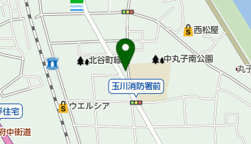 マリアペットクリニックの地図画像