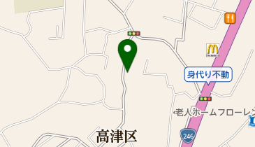 かわさきもみの木動物病院の地図画像