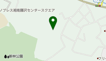 川名テニスの地図画像