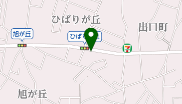 サロンド・ルルドの地図画像