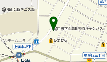 金井のたねの地図画像