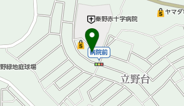 望星秦野薬局の地図画像