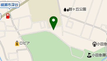 綾瀬市役所 ばらの里の地図画像