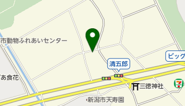 タイヤショップCarsの地図画像