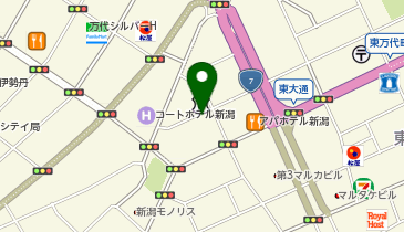 ザ・サンラウンジ新潟店の地図画像