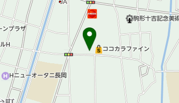 ちゃんこ江戸沢新潟長岡今朝白店の地図画像