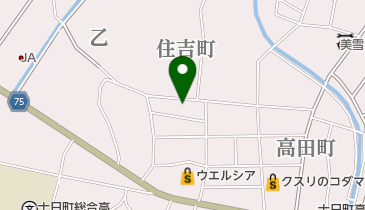 ちおり東洋院の地図画像