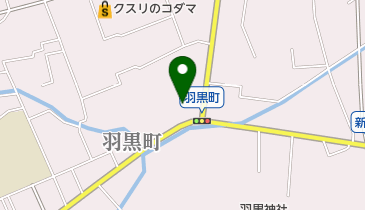 東林寺の地図画像