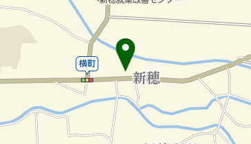 金生堂の地図画像