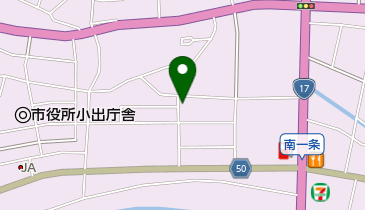 バーディー様　予約分　魚沼 バーディー」(魚沼市-スナック/パブ/クラブ-〒946-0011)の地図