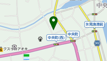 極真会館氷見道場の地図画像