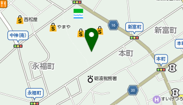 ヤングドライグループ ヤングドライサンキュー新富店の地図画像