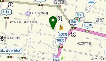 Geocentric21の地図画像