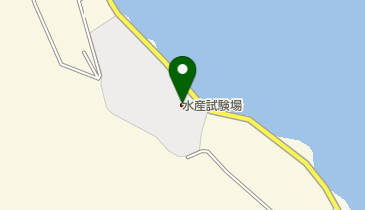 福井県 水産試験場の地図画像