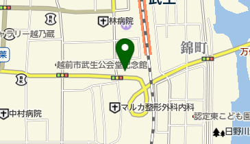 岩崎商店の地図画像