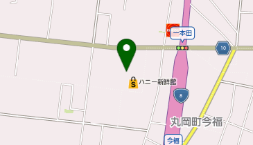 ヤングドライグループ ヤングドライハニー新鮮館丸岡店の地図画像