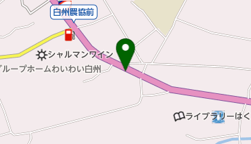 金生堂の地図画像