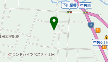 株式会社日本バイオリン上田店の地図画像