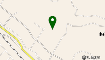 大貫樹脂工業の地図画像