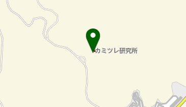相互印刷工芸株式会社 カミツレ研究所の地図画像