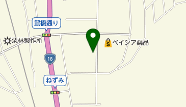 第一ドライベイシア坂城店の地図画像