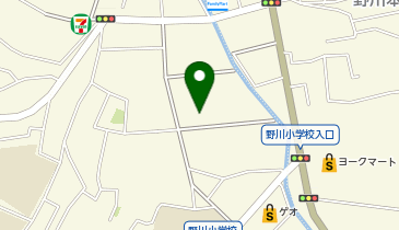 パシオス野川店の地図画像