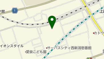 株式会社新潟パイプ工業の地図画像