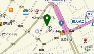 新潟地域若者サポートステーションの地図画像