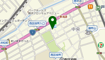 大芝カイロプラクティック院の地図画像