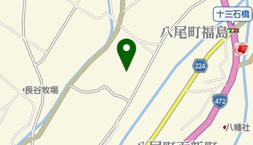 富山市役所 富山市八尾保健福祉センターの地図画像