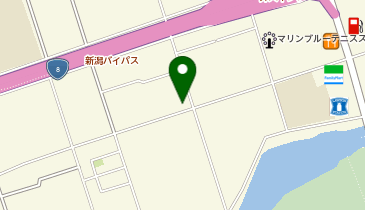 サンダース麗愛の地図画像