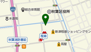 ダッシュスポーツクラブ新津の地図画像