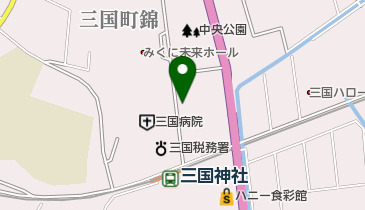フラワー薬局三国店の地図画像