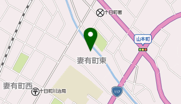 金子療術センターの地図画像