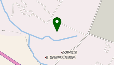 キャンプインフジの地図画像