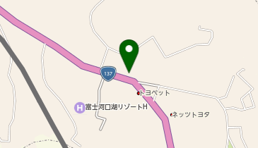 EVOLUTION・CAR・SERVICEの地図画像